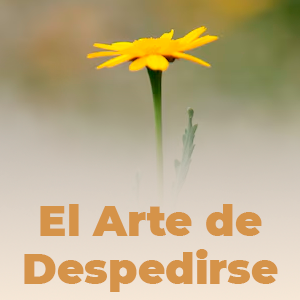 el arte de despedirse con amor legado infinito